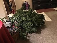 Review Image by sherian