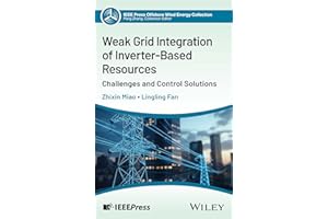 Weak Grid Integration of Inverter-Based Resources: Challenges and Control Solutions