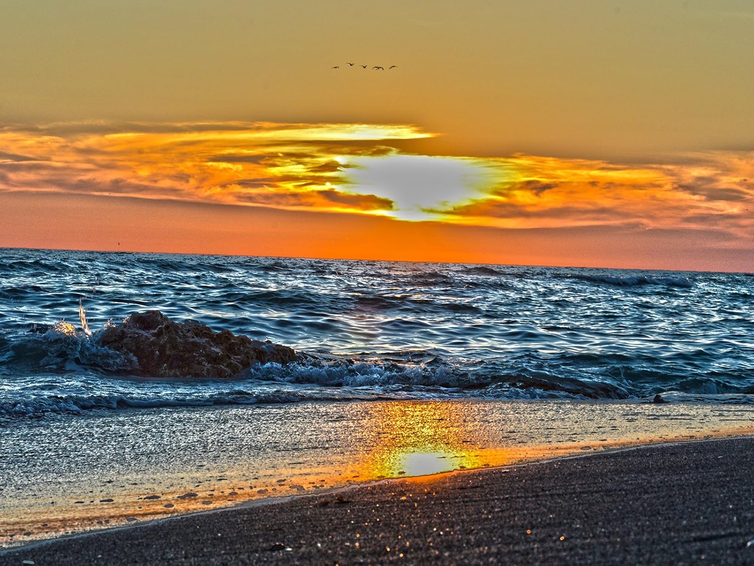 Sunset Poster Florida Poster Caspersen Beach Venice Florida 24x36
