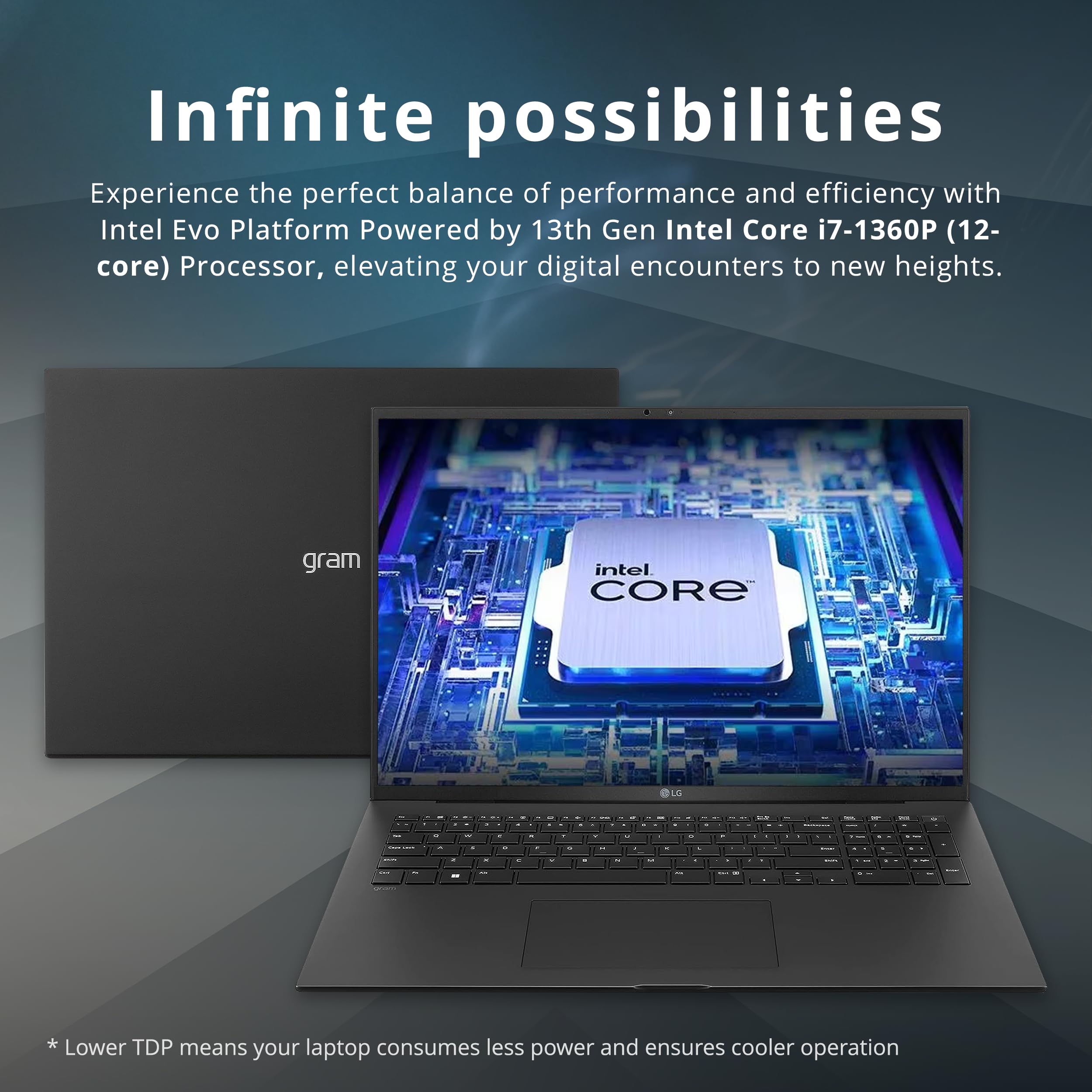 LG gram 17" Business Laptop