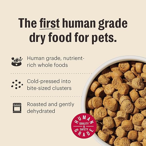 THE HONEST KITCHEN HUMAN GRADE WHOLE FOOD CLUSTERS WHOLE GRAIN CHICKEN & OAT DRY DOG FOOD – COMPLETE & BALANCED MEAL OR TOPPER – 1 LB BAG