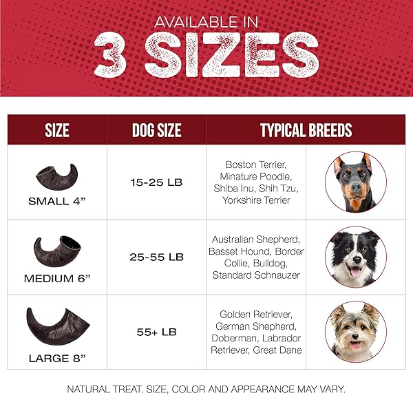 FANG AND CLAW WATER BUFFALO HORN DOG CHEW 4 PACK (MEDIUM 6 INCH), LONG-LASTING NATURAL CHEWS FOR AGGRESSIVE CHEWERS, SINGLE-INGREDIENT, NO RAWHIDE