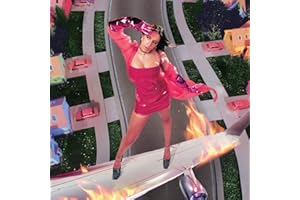 I Used To Think I Could Fly (Vinyl)