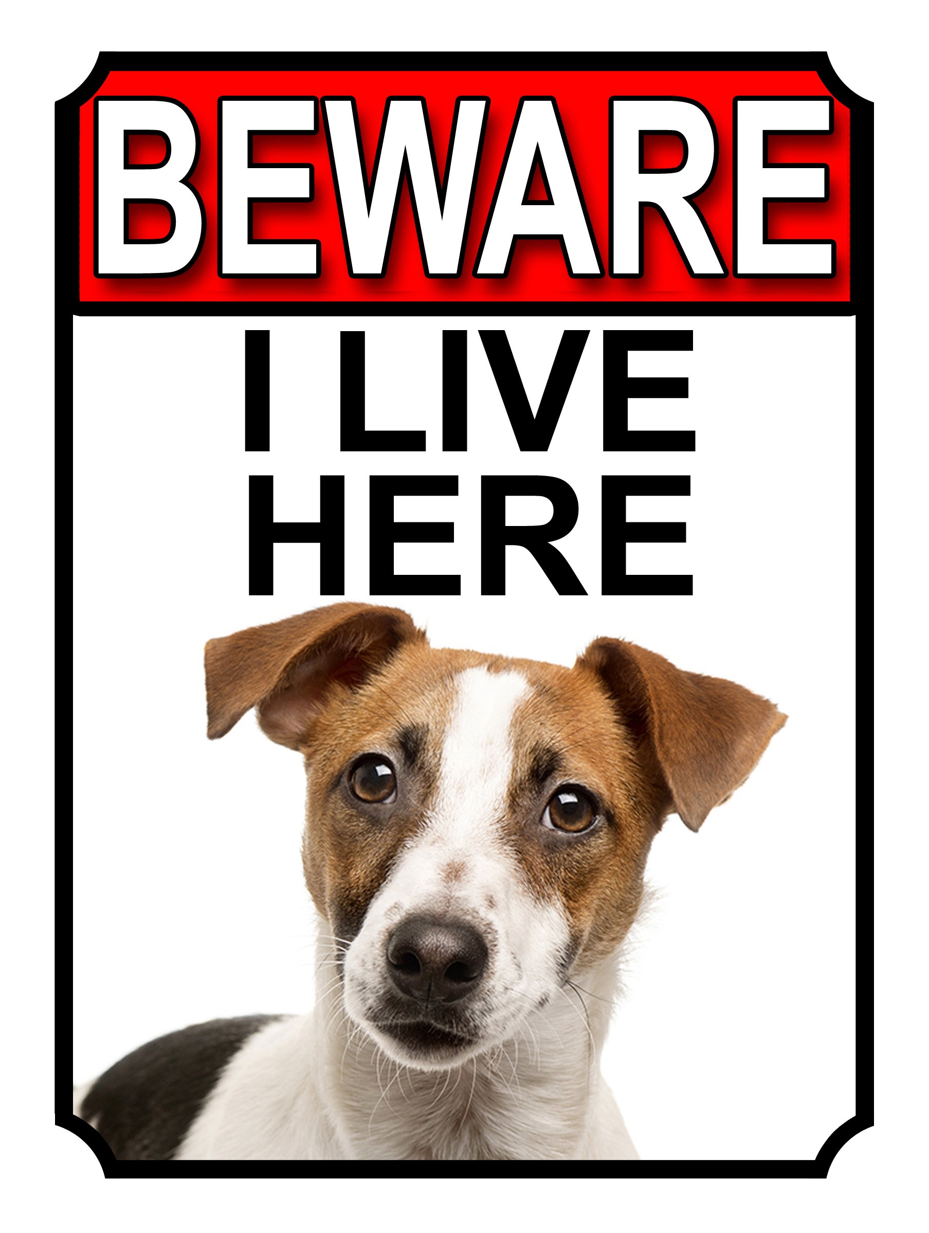 SHAWPRINT BEWARE I LIVE HERE METAL GATE SIGN JACK RUSSEL 200MM X 10MM (1077H1)