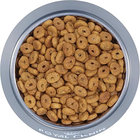 royal canin appetite control