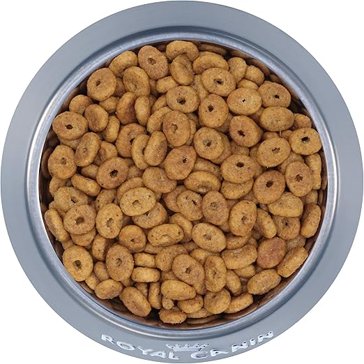 royal canin appetite control