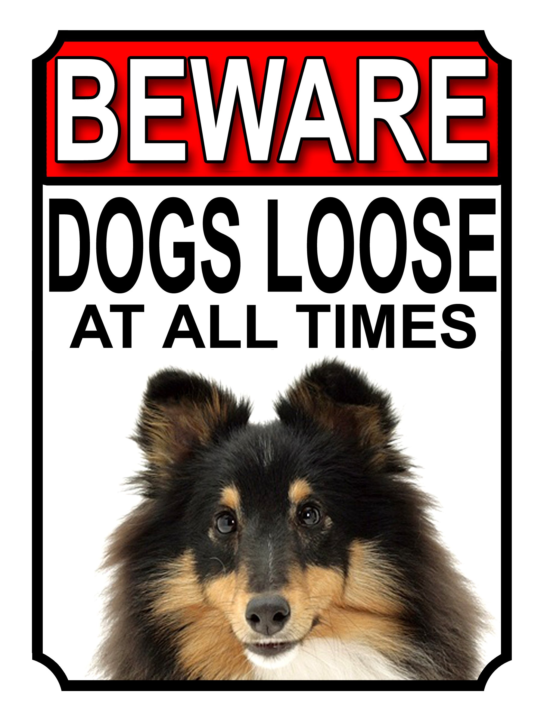 BEWARE DOGS LOOSE AT ALL TIMES METAL SIGN SHETLAND SHEEPDOG 200MM X 150MM (1017H1) — image 1