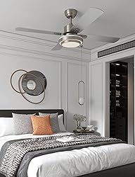 warmiplanet Ceiling Fans with Lights and Remote