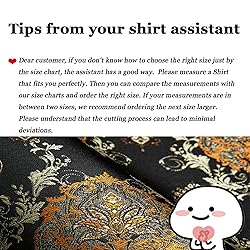 Barry.Wang Men's Dress Shirts Woven Paisley Silk
