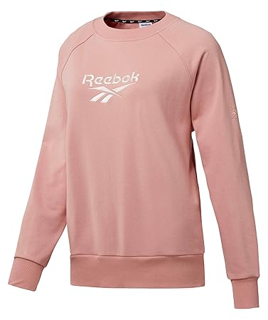 felpa champion uomo marroni