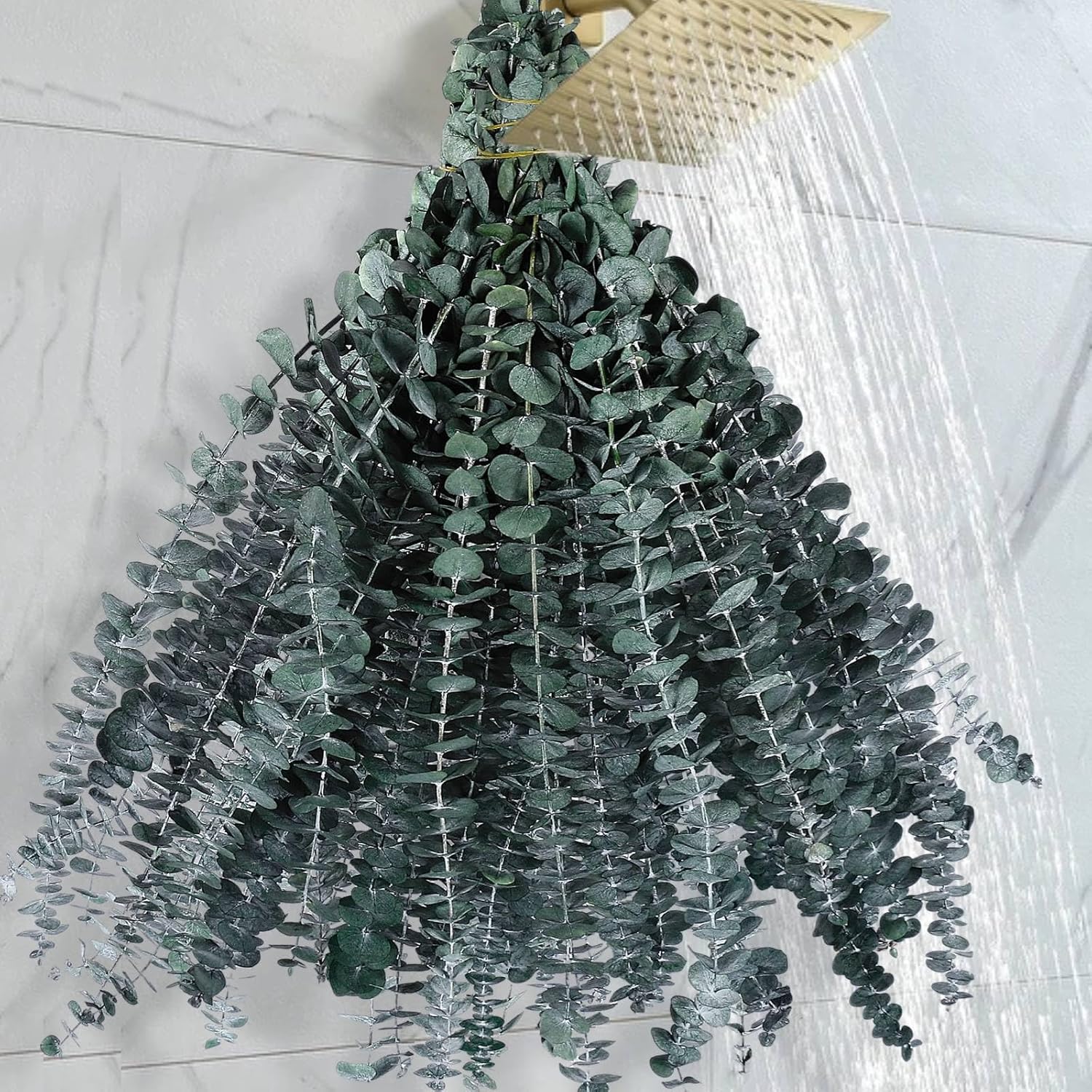 Dried & Preserved Flora - 38 PCS Dried Eucalyptus Stems for Shower - 17