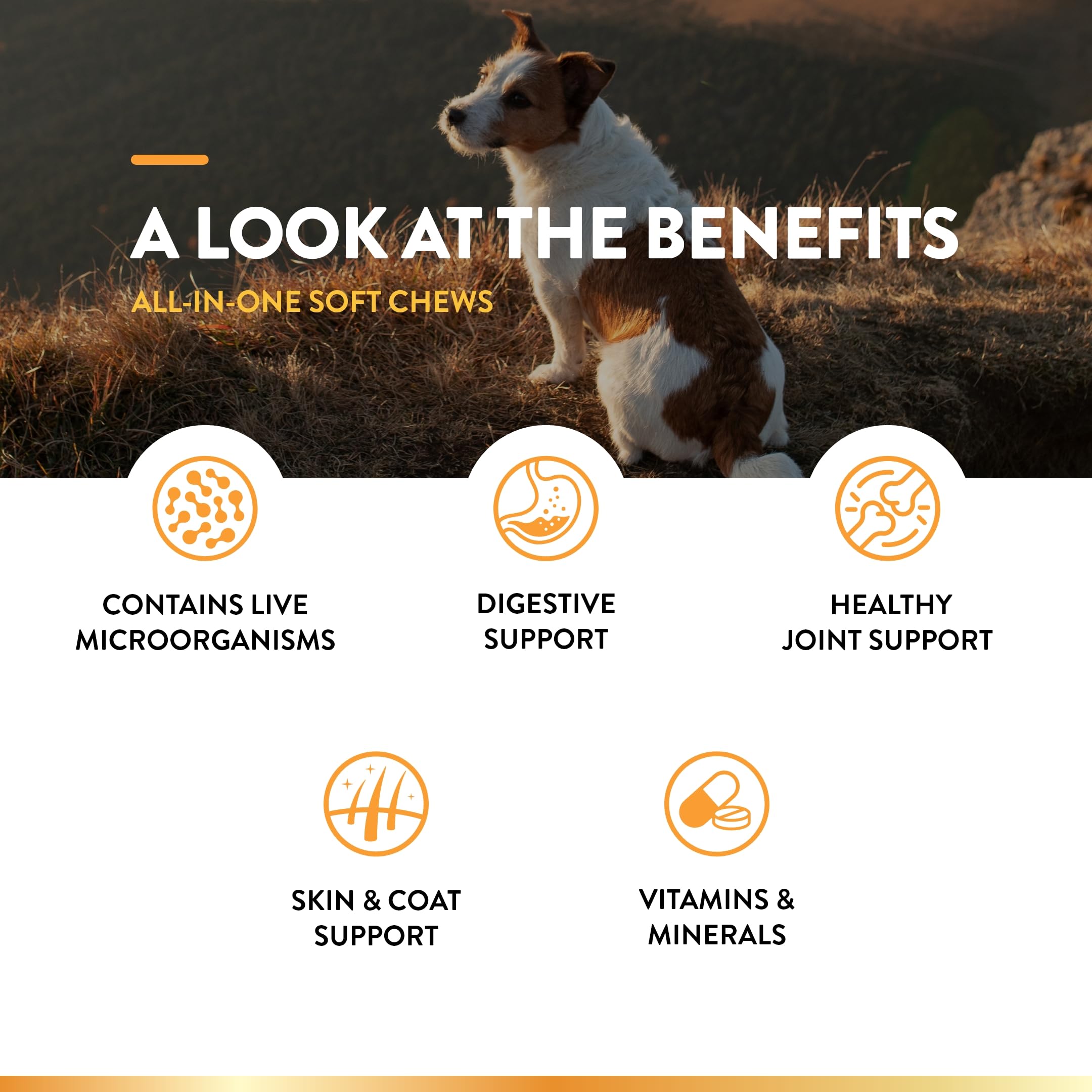 Mua NaturVet All-in-One Dog Supplement - for Joint Support, Digestion ...
