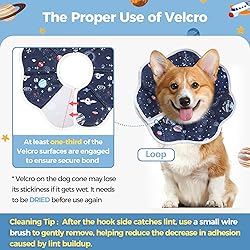 ComSaf Soft Dog Recovery Collar, Protective