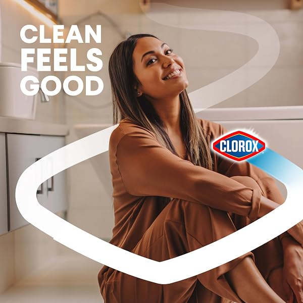CLOROX TOILET BOWL CLEANER HEAVY-DUTY GEL, ARCTIC CLEAN, BLEACH-FREE STAIN REMOVER, KILLS 99.9% OF GERMS, 24 OZ, PACK OF 2