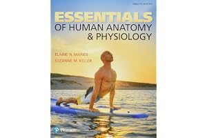 Essentials of Human Anatomy & Physiology