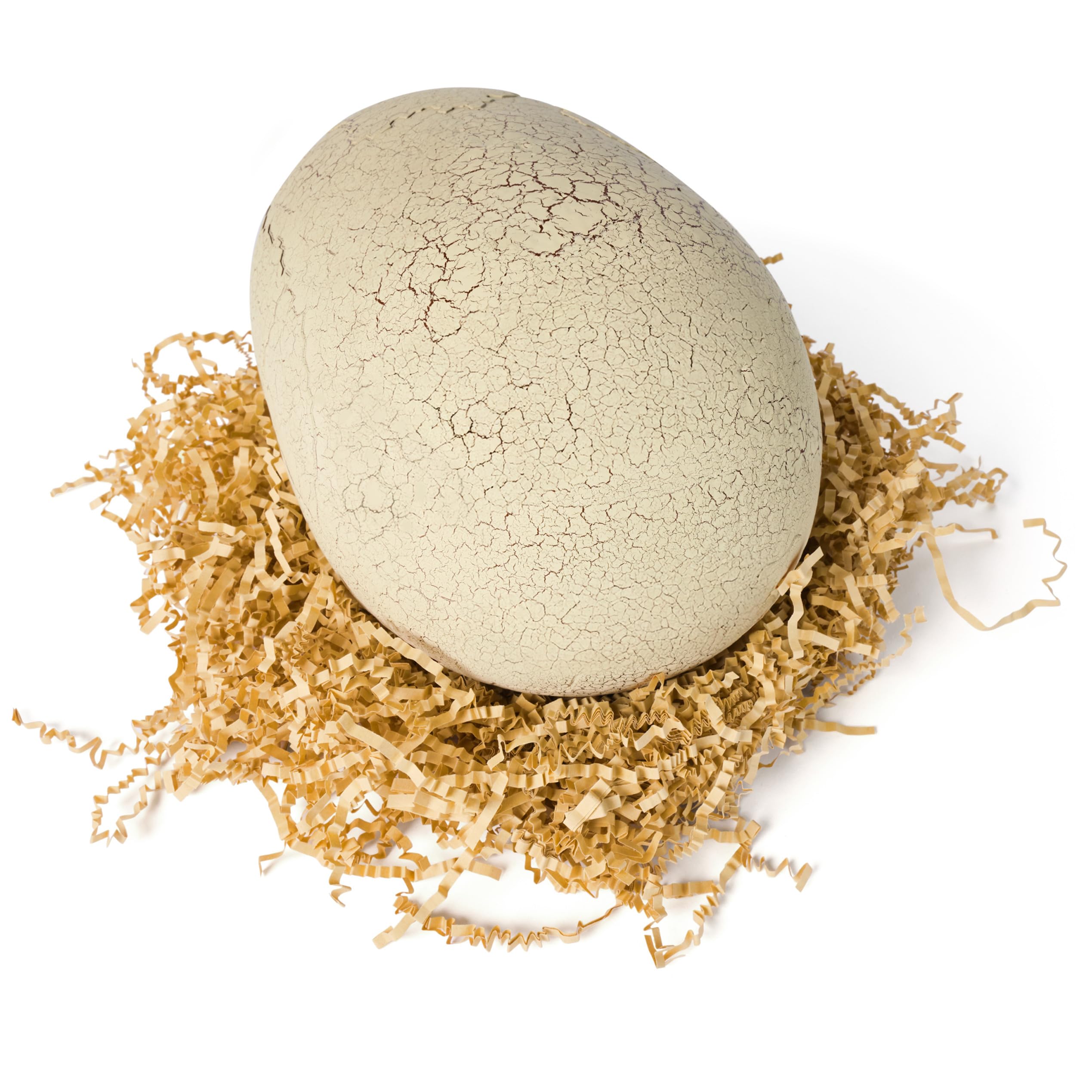 Jurassic World Interactive Toy Dinosaur & Egg, Hatch & Train Your own Baby Dino with 100+ Sounds & Reactions, Kids Toys for Boys & Girls Aged 5 & Up