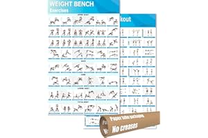 MCNBLK Dumbbell Workout poster+Fitness Bench Poster, Gym Must Haves, 17" x 27" Kraft paper tube packaging (2PC Paper tube)