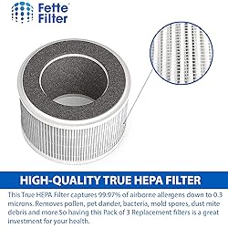 Fette Filter- Air Purifier Filter Compatible with