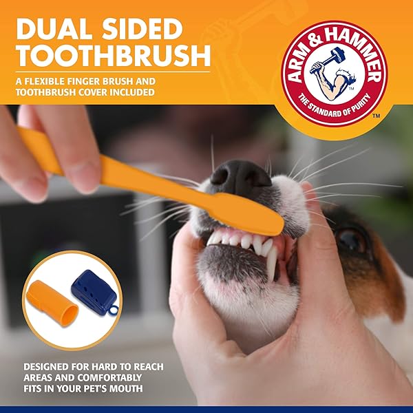 ARM & HAMMER FOR PETS TARTAR CONTROL KIT FOR DOGS CONTAINS TOOTHPASTE, TOOTHBRUSH & FINGERBRUSH REDUCES PLAQUE & TARTAR BUILDUP, 3-PIECE KIT, BANANA MINT FLAVOR (PACK OF 1)