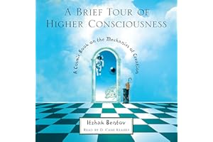 A Brief Tour of Higher Consciousness: A Cosmic Book on the Mechanics of Creation