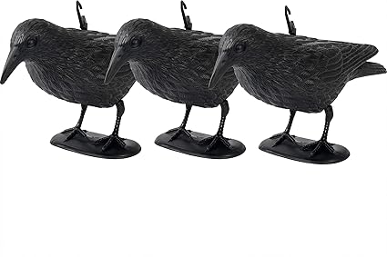 Gardigo Taubenschreck Rabe 3er Set I Kunststoff Krähe Attrappe: Amazon.de: Garten