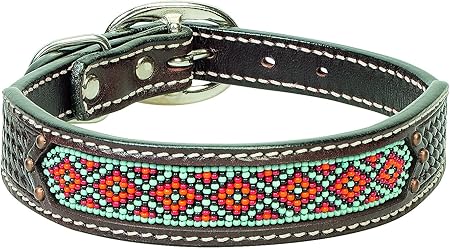 beaded dog leads