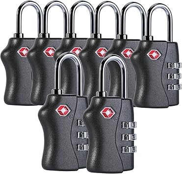 master travel lock