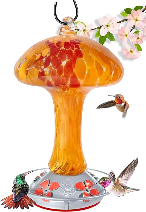 Amazon Com Grateful Gnome Hummingbird Feeder Hand Blown