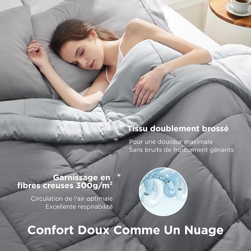 Couette 220x240 4 Saisons - Couette sans Housse 300g/m²