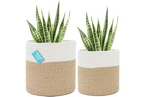 OrganiHaus 2-Pack 12 & 10 Inch Planter, Woven Plant Basket, Plant Baskets Indoor, Tree Pots, Floor Planter, Basket for Plants Indoor, Basket Planters for Indoor Plants, Plant Pot Cover