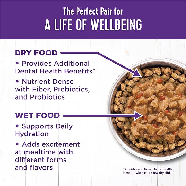WELLNESS COMPLETE HEALTH MINCED ADULT CANNED WET CAT FOOD, NATURAL, PROTEIN RICH, GRAIN FREE, CHICKEN DINNER RECIPE, 3 OZ, PACK OF 24 CANS