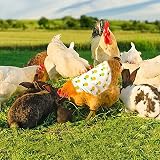 2x Chicken Saddle Hen Vest Pet Feather Protection Back Wing Apron Adjustable view 6