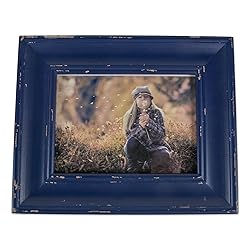 DII Distressed Wooden Picture Frame Collection