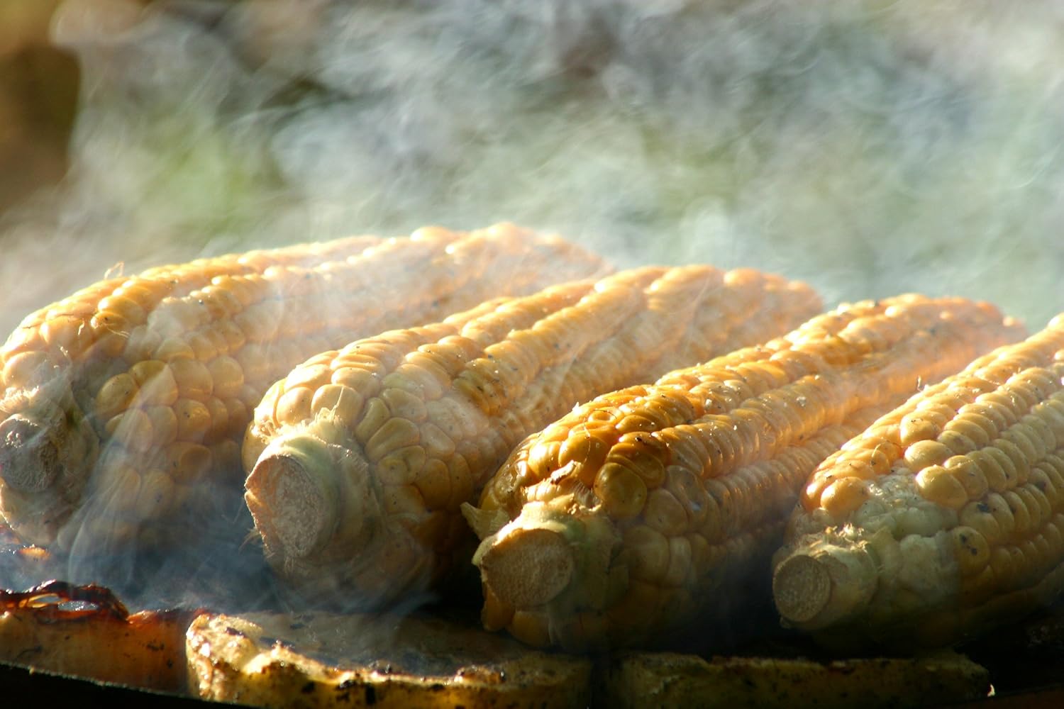 Carlisle 4002600 Broiler Master Grill Brush, Carbon Steel Bristles, 30.5" Length, Hardwood Brush and Handle, Natural: Industrial & Scientific