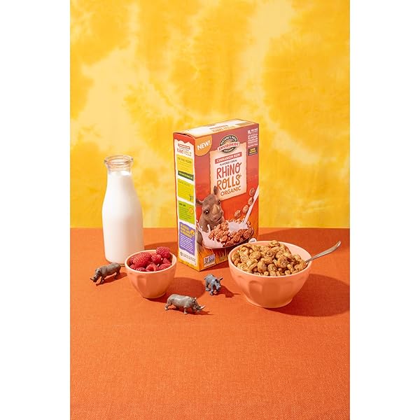 ENVIROKIDZ ORGANIC RHINO ROLLS CEREAL, 9.5 OZ (PACK OF 1), CINNAMON BUN, GLUTEN FREE, NON-GMO, BY NATURE’S PATH