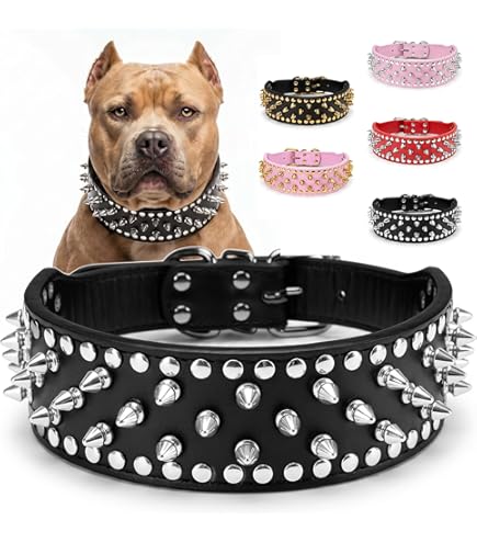 Amazon.com : Haoyueer Sharp Spiked Studded Dog Collar 2 Inch Width