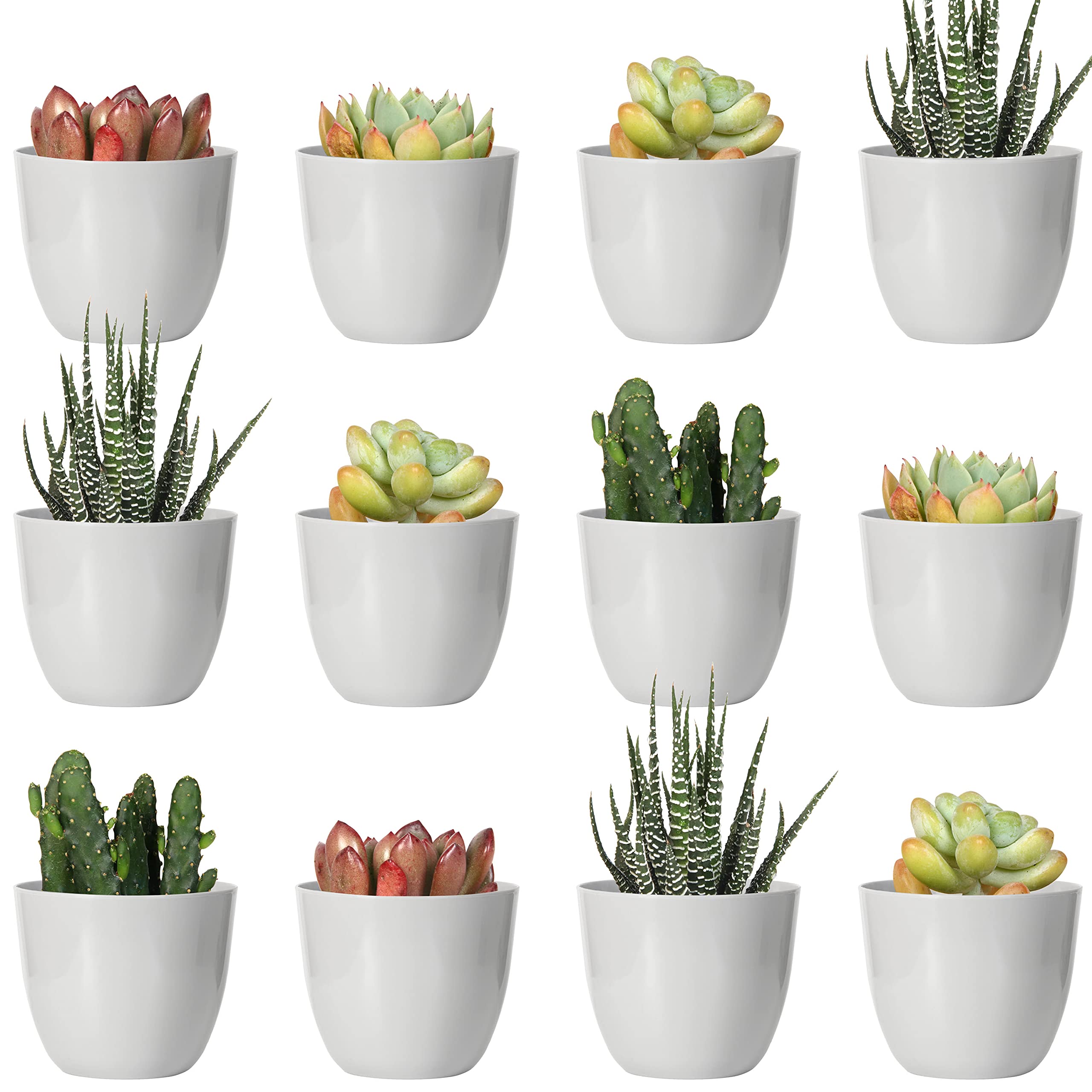 Youngever 24 Pack 5CM Mini Plastic Planters, Indoor Flower Plant Pots, Grey Gardening Pot with Drainage - NO Plant Included (Modern)