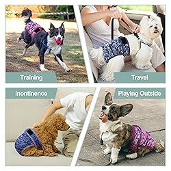 Female Dog Diapers - Premium Reusable Diapers for