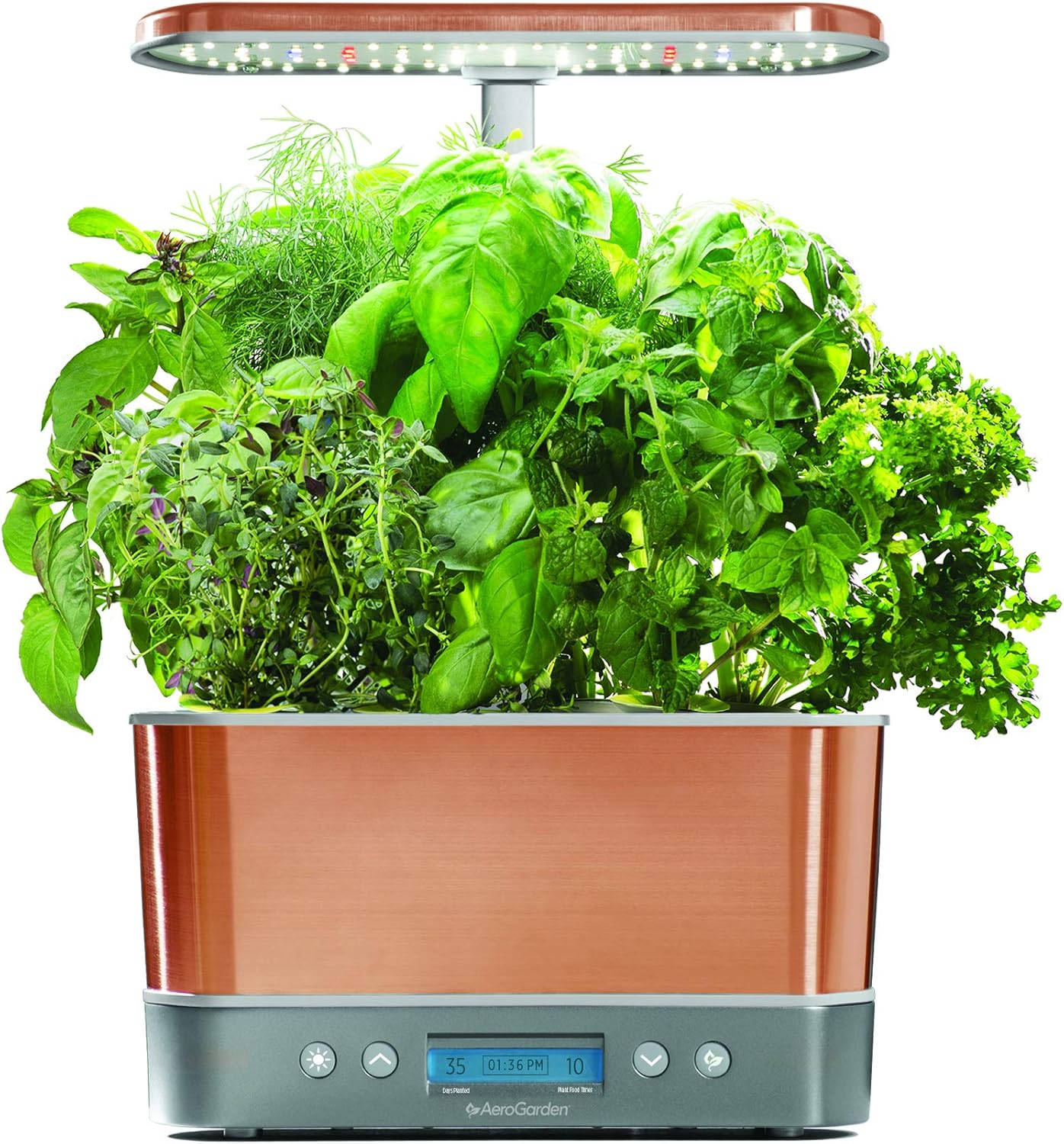 Best Kitchen Counter Herb Garden