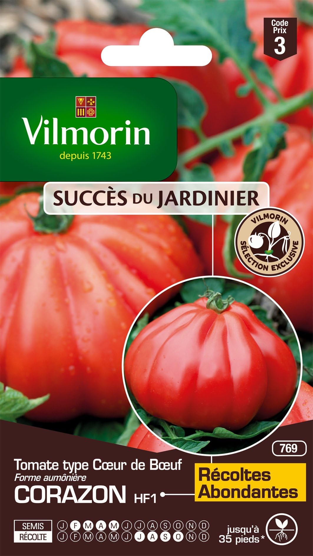 Vilmorin 3977843 Tomato Heart of Beef, Red, 90 x 2 x 140 cm