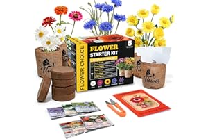 MEEKEAR Indoor Daisy Garden Starter Kit with Gardening Tools - Jute Bags, Markers, Soil Disks and Shears, Home Gardening Gifts for Women Men Plant Lovers