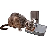 automatic cat feeder chip