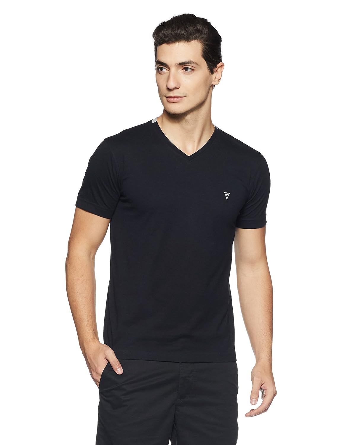 van heusen men's v-neck cotton t-shirt