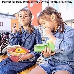 3 Pack Salad Lunch Box Food Storage