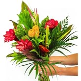 BloomsyBox: Tropical Bouquets Lua Orange, 24 stems, Fresh Cut Flowers, Long Lasting &amp; Hand-Tied, Farm Fresh Flowers Bouquet, Responsibly Sourced | Perfect for weddings, birthdays &amp; anniversary