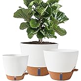 Fielda 8/10/12 Inch Self Watering Pots for Indoor/Outdoor Plants - Large Plastic Planter with Drainage Holes, Water Level Indicator & Deep Reservoir, Modern Decorative Flower Pots (White)