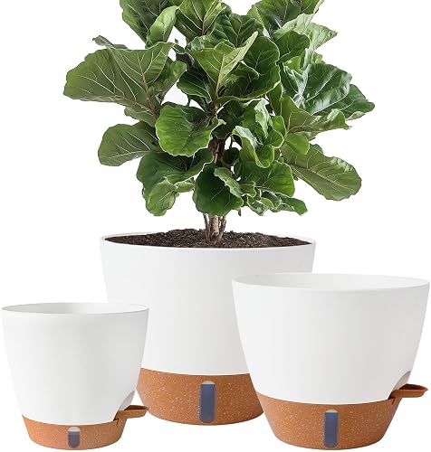 Fielda 8/10/12 Inch Self Watering Pots for Indoor/Outdoor Plants | Large Plastic Planter with Drainage Holes, Water Level Indicator & Deep Reservoir, Modern Decorative Flower Pots, White