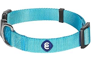 Blueberry Pet Essentials Turquoise Dog Collar | Adjustable Eco-Friendly Nylon Strap | Dog Collars for Small Dogs, Boy Dog Collar, Puppy Collar | 12-16 Inches