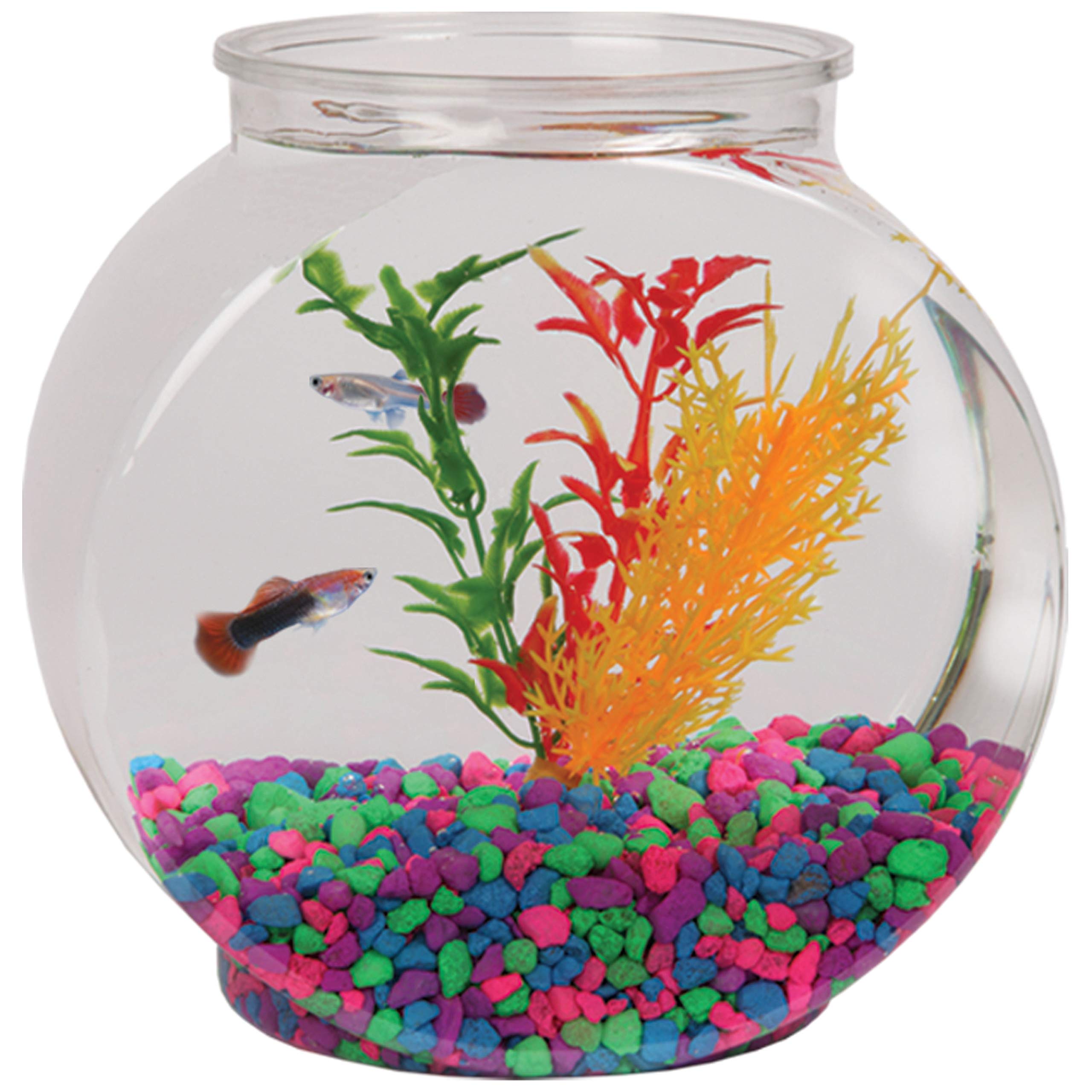 Koller Products 1 2 Gallon Fish Bowl Drum 6 3 L X 4 2 W X 6 3 H Buy Online In UAE Pet