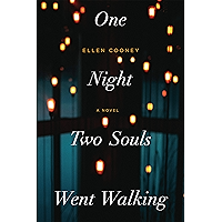 One Night Two Souls Went Walking book cover